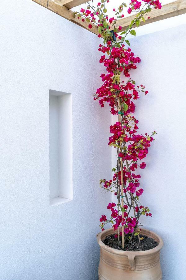 Lemon Suites Santorini Фира Екстериор снимка